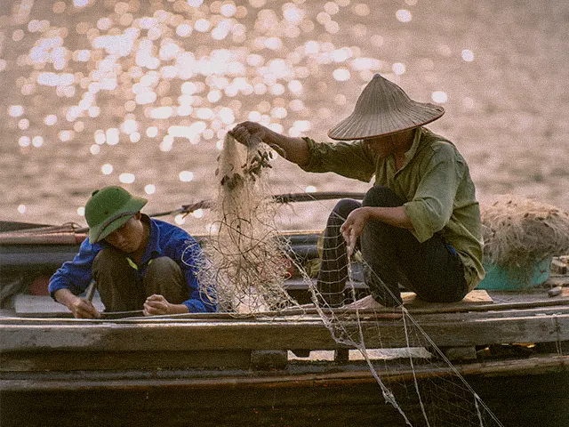 Nông sản, thủy hải sản được thu hoạch như thế nào?